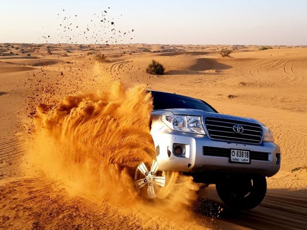 Morning Desert Safari Dubai Tour and Sunrise Photoshoot